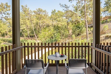 Superior Family Room Forest View