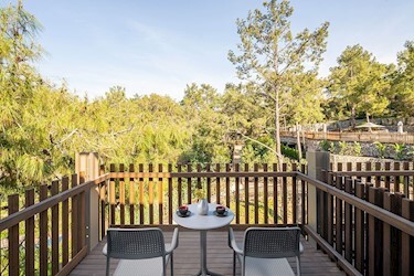 Superior Family Room Forest View