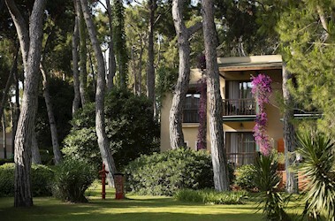 Family Room Garden View