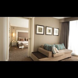 Suite Room