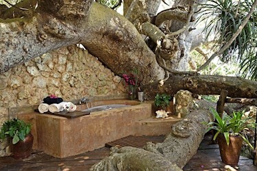 Baobab Suite