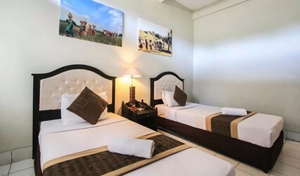 Superior Double or Twin Room