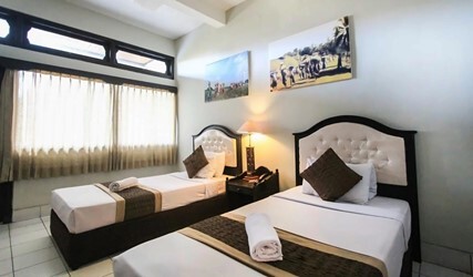 Superior Double or Twin Room