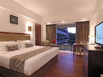 Deluxe Pool View Room