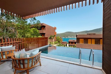  Swim Up Standard