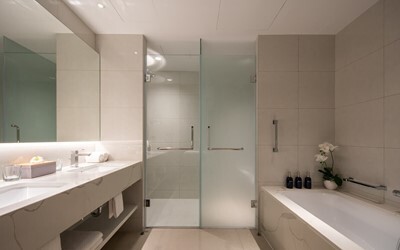 1 Bedroom Suite with Terrace Ocean View