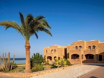Nubian Suite
