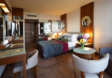 Deluxe Room with Terrace