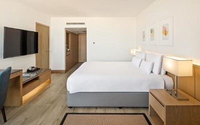 One Bedroom Suite