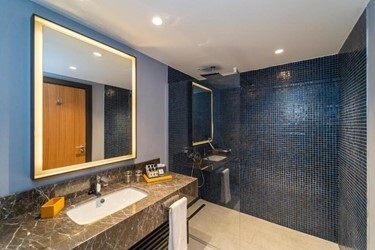 Deluxe Room Land View