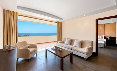 Suite Executive