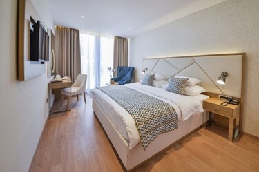 Superior Plus Room