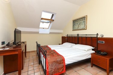 Standard Roof Room