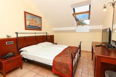 Standard Roof Room