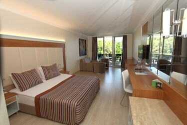 Standard Large Land View