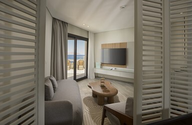 V Elite Suite Adult Only