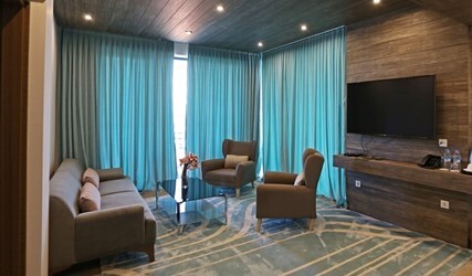 Mountain View Suite