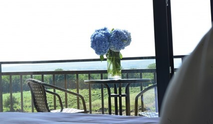 Mountain View Suite