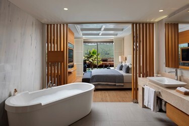 Swim Up Deluxe Room