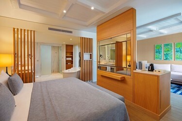 Swim Up Deluxe Room