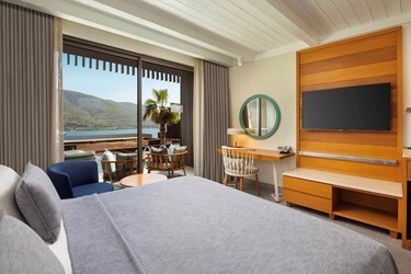 Swim Up Family Room