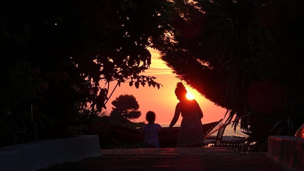 Картинка Abalone 3*