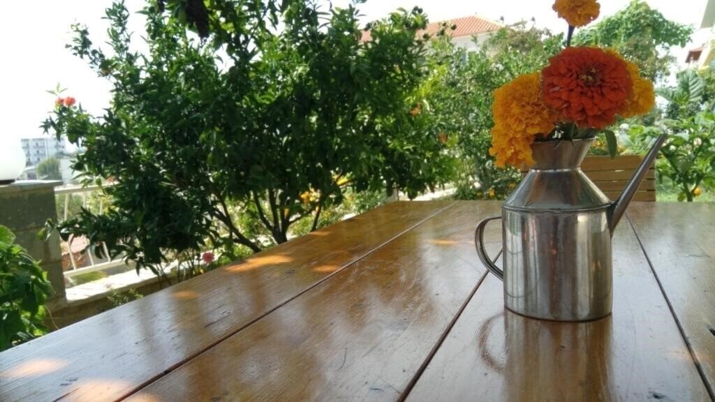 Картинка Villa Paja 3*