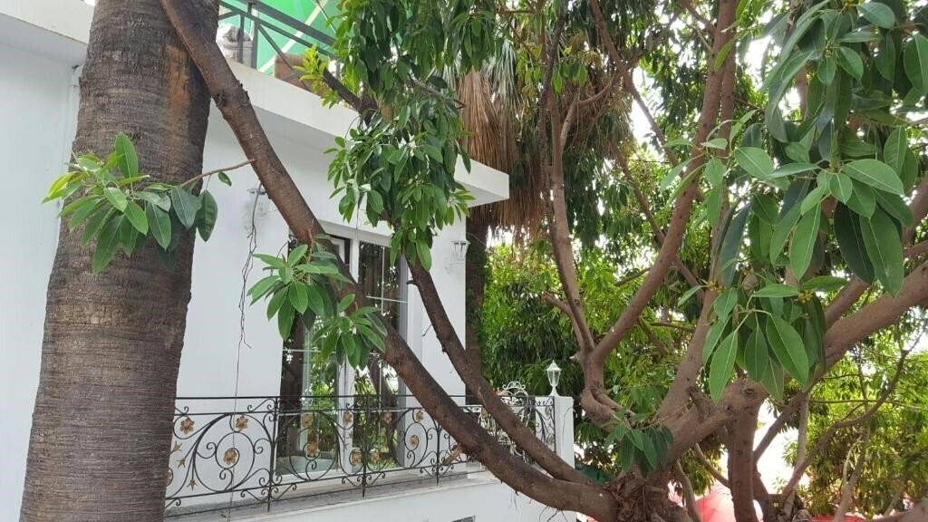 Изображение Hotel Magllara 4*