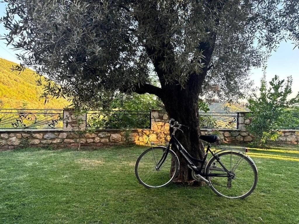 Изображение Chateau Fasel 3*