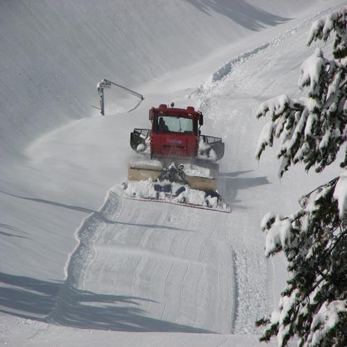 Отель Andorra Palace 3*