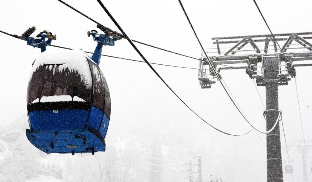 Изображение Arbre De Neu 3*