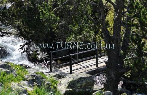 Фотография Coma 3*