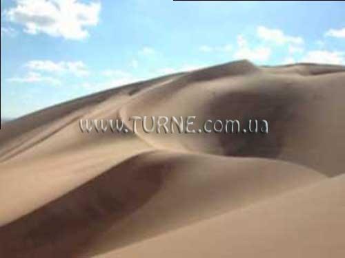 Изображение Oasis 4*