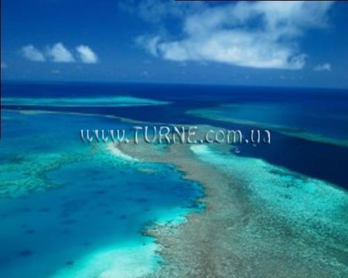 Отель Palm Bungalows 3*