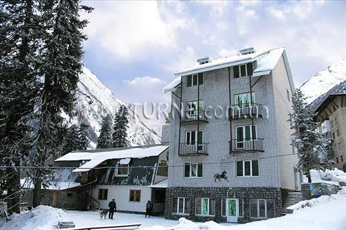 Фотография Золотой Мустанг 1*