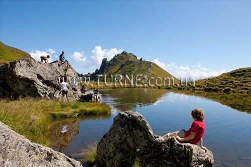 Фотография Alpina 4*