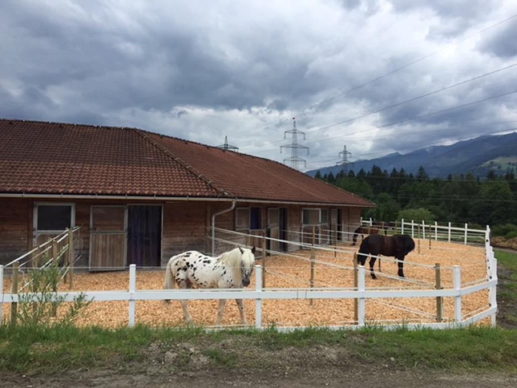 Картинка Schmittenhof 4*