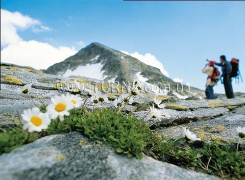 Отель Vier Jahreszeiten 4*