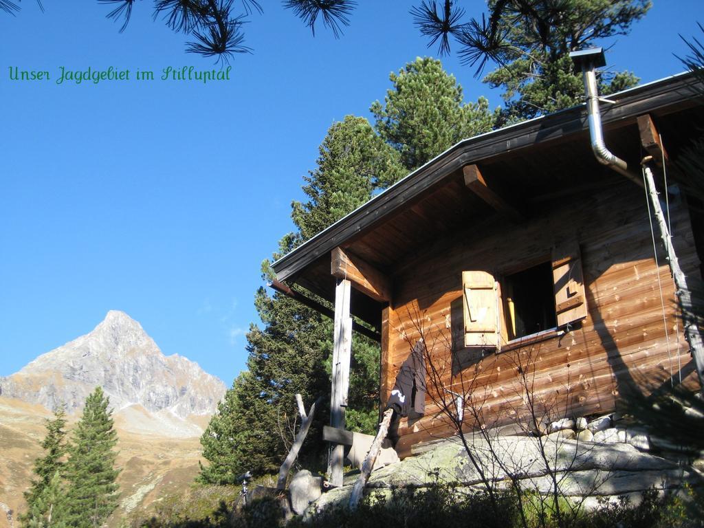 Фотография Garni Almhof Hotel 3*