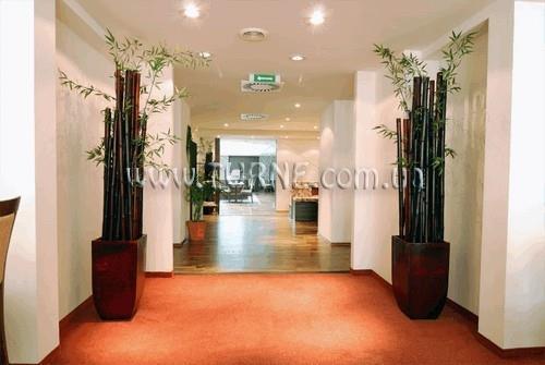 Фотография Airo Tower 2*