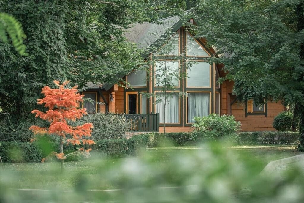 Изображение River Inn Resort & Spa 4*