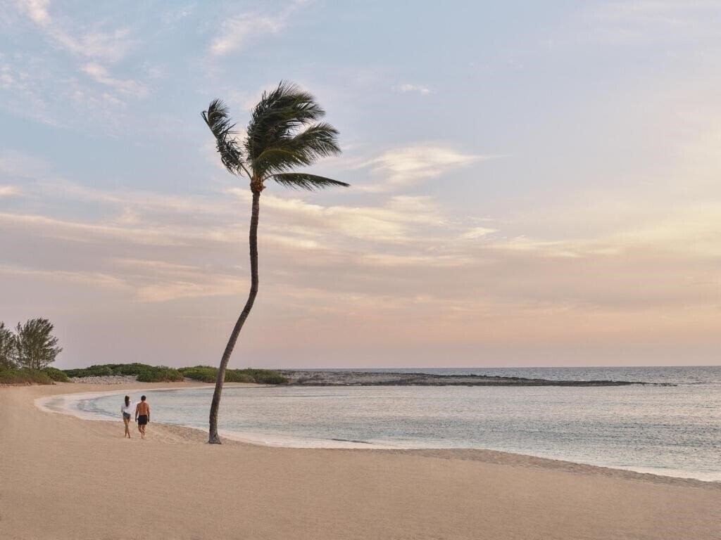 Изображение The Cove Atlantis 4*