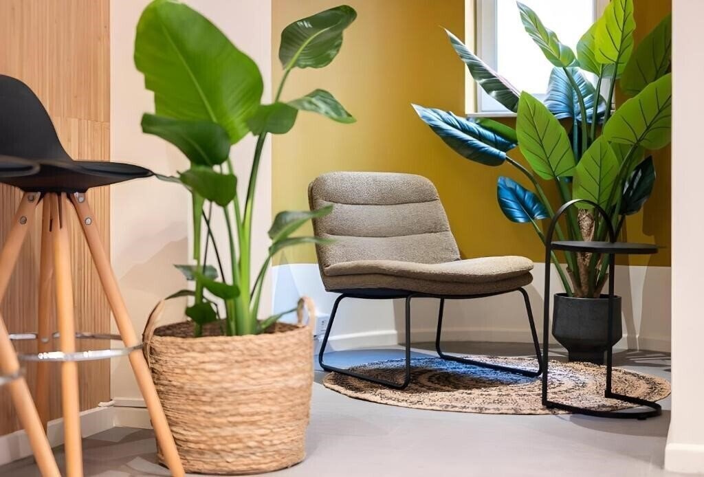 Картинка Alma Grand Place Hotel 3*