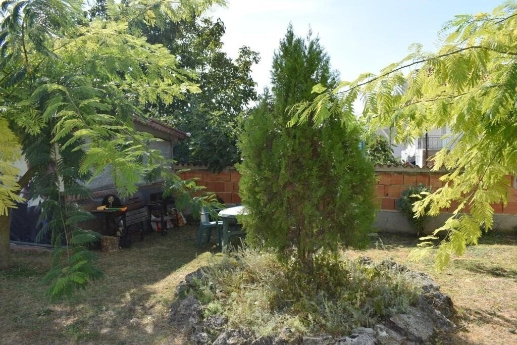 Фотография Sunny-Viki 2*