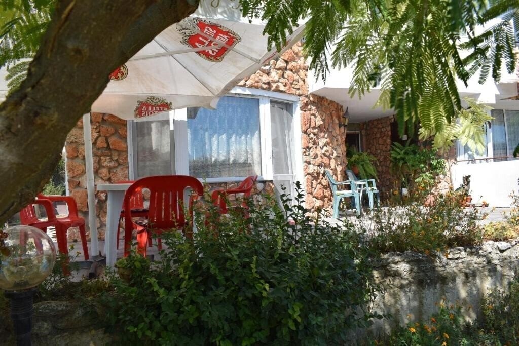 Изображение Sunny-Viki 2*