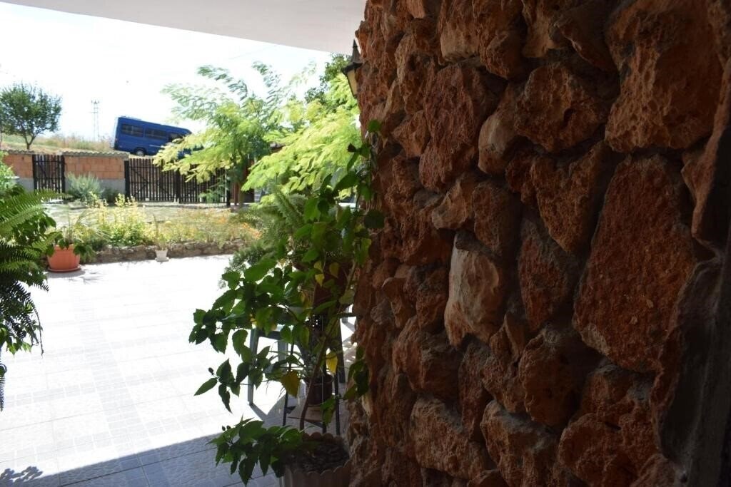 Картинка Sunny-Viki 2*