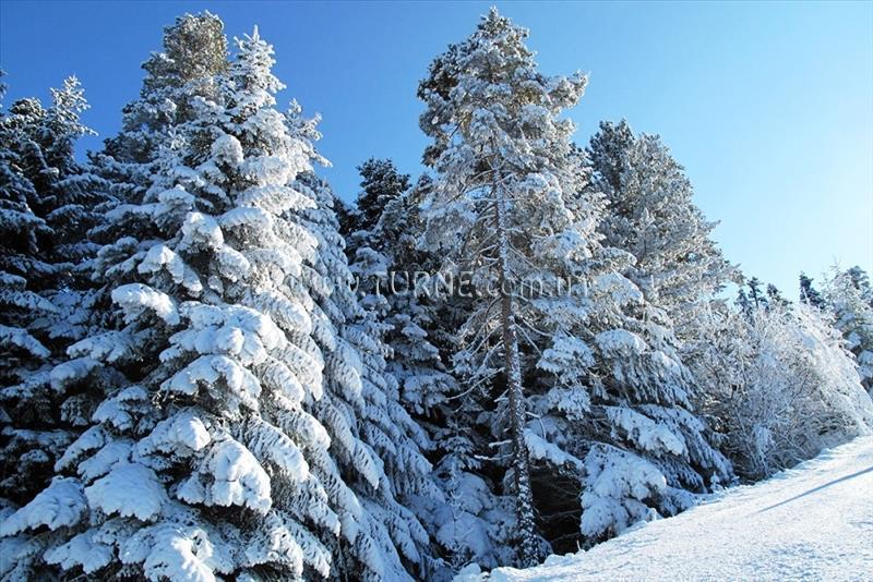 Фото Alexander Bansko 3*