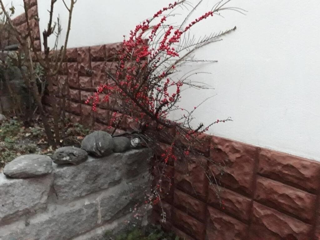 Изображение Ivel 3*