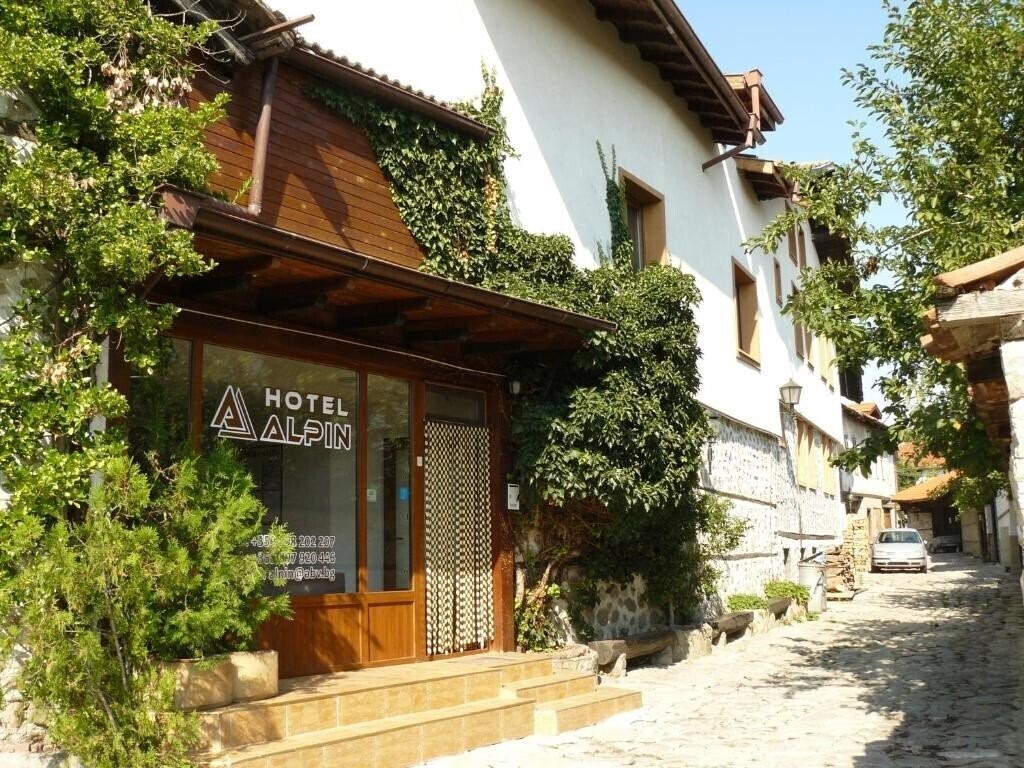 Отель Hotel Alpin Bansko 2*