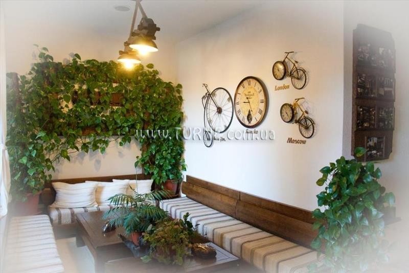 Изображение Молерите 3*